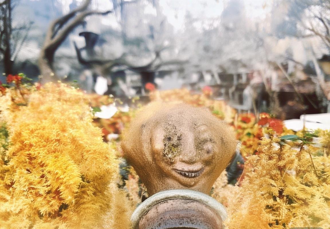 拜仁慕尼黑意外败给国米，意甲崛起迹象显现(图1)